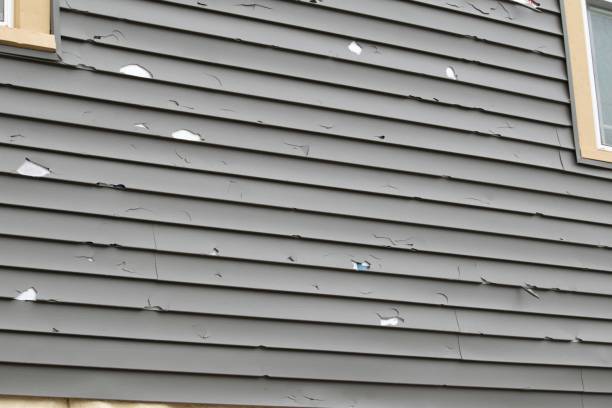 Best Engineered Wood Siding  in Cumings, TX