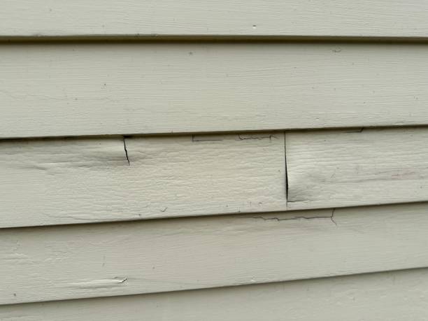 Best Historical Building Siding Restoration  in Cumings, TX